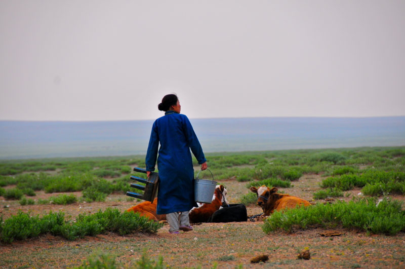 Mongolie